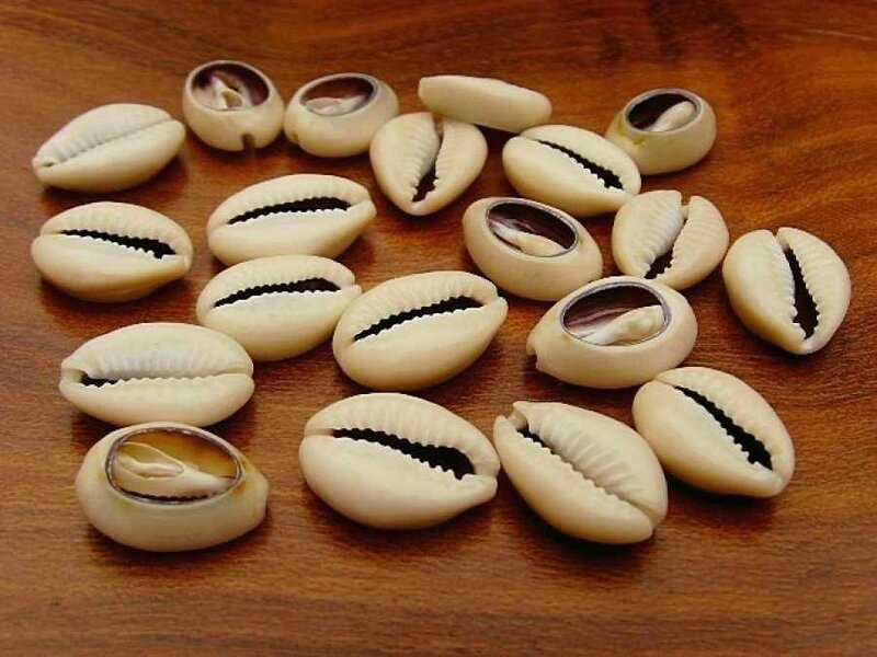 Véritable marabout africain disponible en France