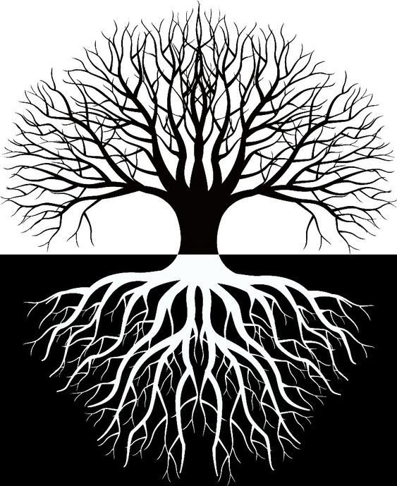 Retour affectif en 72h Paiement après résultat